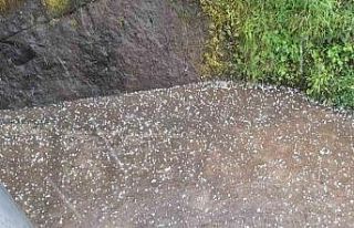 Trabzon’da dolu yağışı etkili oldu