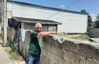 Truva savaşı kahramanının mozaiği ortaya çıktı