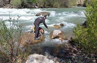 Tunceli Valiliğinden kayıp gençlerin bulunmasını...