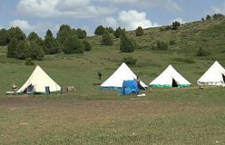 Tunceli Valiliği’nden sürü sahipleri ve arıcılara...