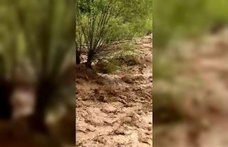 Tunceli’de dereler taştı