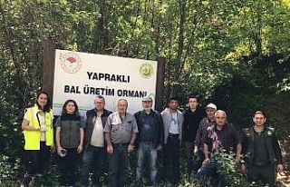 Türkeli’de ’avcı böcekler’ iş başında