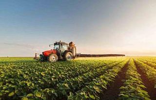 Türkiye’nin gıda ihracatındaki yeni hedefi 50...