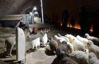 Türkiye’nin ilk ve tek peynir müzesine yoğun...