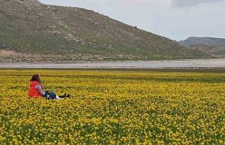 Turna Gölü doğaseverleri mest etti