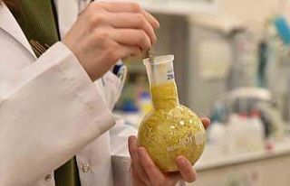 Üniversite laboratuvarlarında geliştirildi: Borlu...