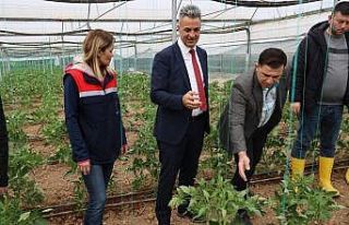 Üreticinin sorunları sahada dinleniyor