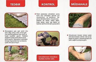Uzmanlar uyardı; kene ısırmalarına dikkat edin