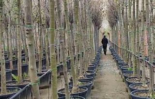 Uzundere’de büyük yatırım