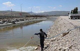 Van Büyükşehir Belediyesinin ilaçlama çalışmaları...