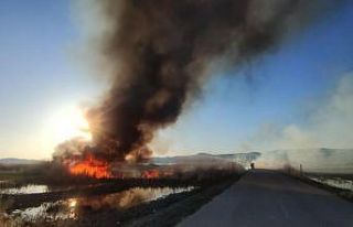 Van Gölü Havzası’ndaki sulak alanlar tehlikede