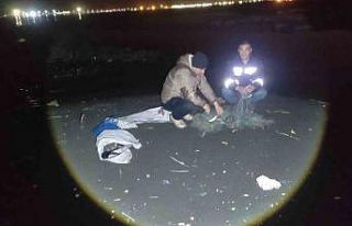 Van’da 150 kilo inci kefali ele geçirildi