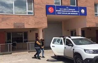 Van’da 1 organizatör tutuklandı