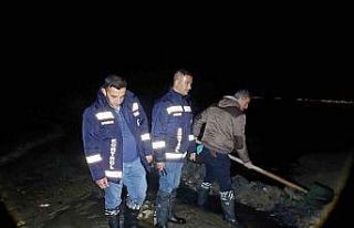 Van’da 2 ton inci kefali kurtarıldı