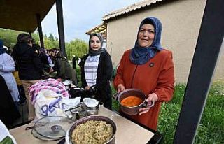 Van’da ‘Keledoş’ yarışması düzenlendi