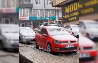 Van’da Mayıs karı etkili oluyor