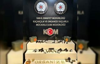 Van’da silah operasyonu: 1 tutuklama