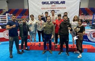 Vanlı boksörlerden büyük başarı