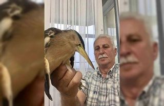 Vatandaşların bulduğu nesli tehlike altında olan...