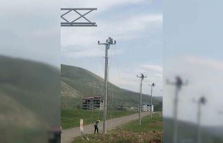 VEDAŞ’tan yeni yatırımlar