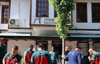 Yağcılar Hanında devrilen çınarın yerine yenisi...