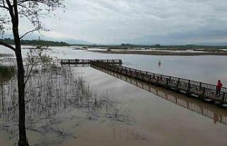 Yağış ve eriyen karlar gölün su seviyesini yükseltti