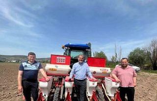 Yağlık ayçiçeği ekimi gerçekleştirildi