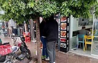 Yağmurdan korunmak için ağacın altına girdiler