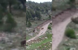 Yağmuru izlerken karşılaştılar, arabadan inmeye...