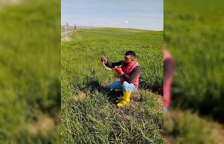 Yakaladığı yılanla kedi yavrusuyla oynar gibi...