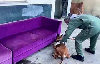 Yakalanmamak için bunu bile yapmışlar: Tuvalet...