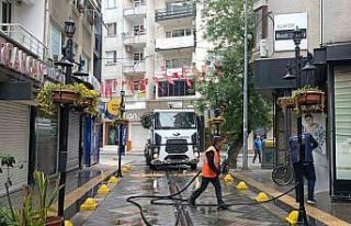 Yalova Belediyesi’nden cadde, sokak ve parklarda...