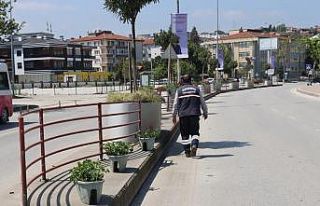 Yalova Belediyesi’nden çiçeklendirme çalışması