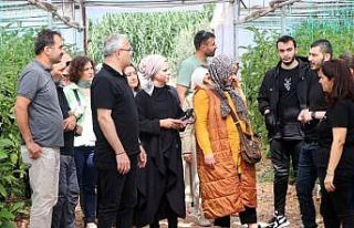 Yalovalı sebze üreticilerinden Kumluca’ya teknik...