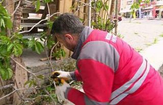 Yaralı ebabil kuşuna Kocasinan Belediyesi sahip...