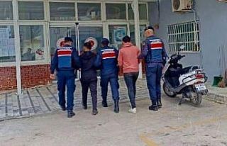 Yatağan’da zeytinyağı hırsızları JASAT timi...