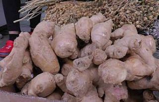 Yaz nezlesine zencefil