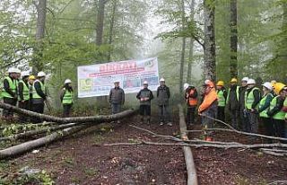 Yığılca’da üretim ve standardizasyon tatbikatı...