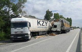 Yol kenarına park eden tıra arkadan gelen başka...