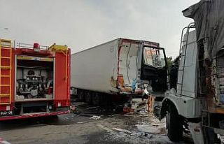 Yola çıkan yavru köpeği kurtarmak isterken canından...