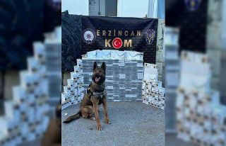 Yolcu otobüsünde 3 bin 400 paket kaçak sigara ele...