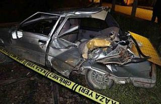 Yolcu treni hemzemin geçitte otomobile çarptı