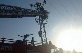 Yüksek gerilim hattında akıma kapılarak yaralandı