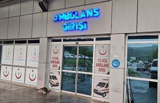 Yüksekten düşen kadın yaralandı