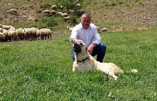 Yurt dışının stres ve iş yoğunluğundan bunalan...