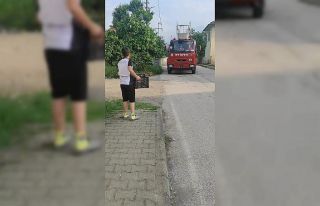 Yuvadan düşen kuşu fark eden çocuğun merhameti...