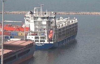 ’Yüzen ahır’ Bandırma’da