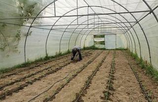 ZBEÜ’de ‘Kampüs Bostanı’ uygulaması hayata...