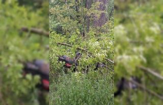 Zonguldak’ta trafik kazası: 1 yaralı