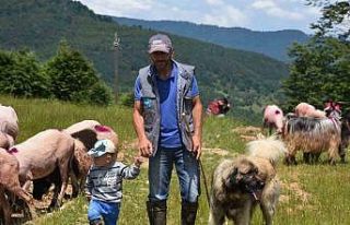 116 yıldır devam eden gelenek: Gelin gibi süslenen...